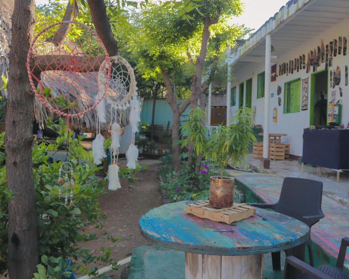 Hostel Hipilandia تاجانجا المظهر الخارجي الصورة