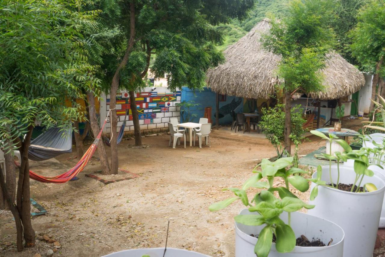 Hostel Hipilandia تاجانجا المظهر الخارجي الصورة